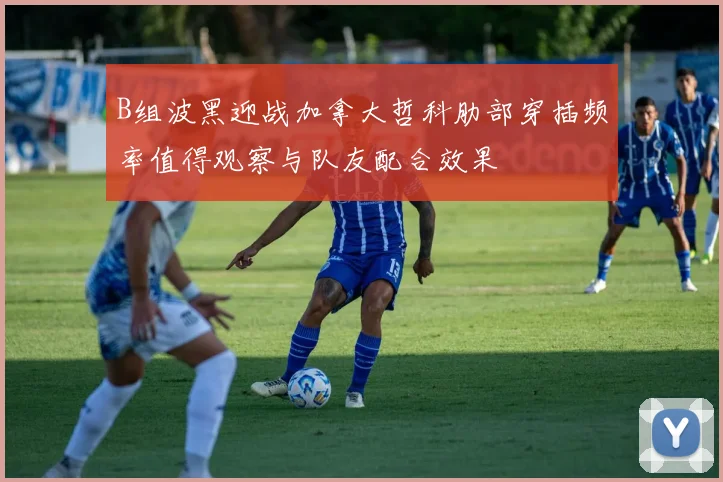 B组波黑迎战加拿大哲科肋部穿插频率值得观察与队友配合效果